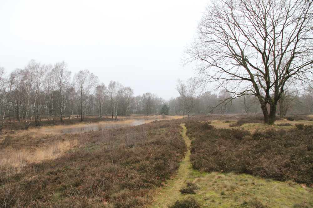 stuifuinen Kolkersveld