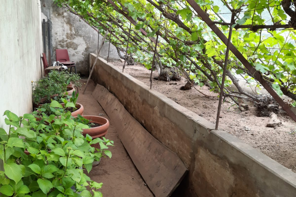 Kas op De Horte, voorjaar 2021