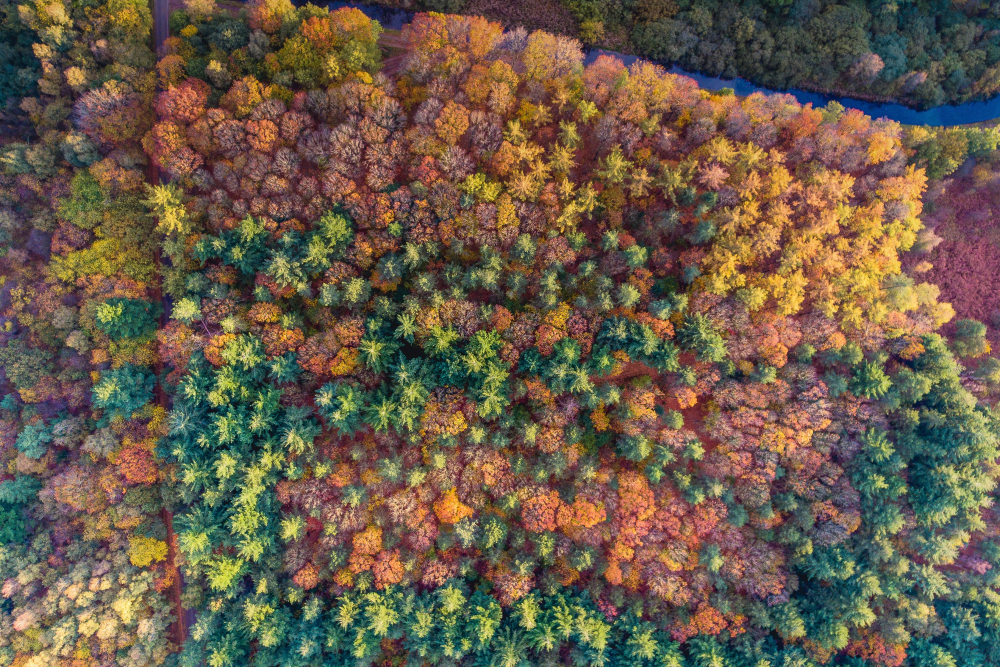 Lemelerberg vanuit de lucht