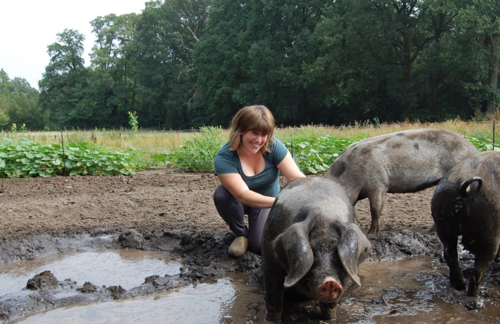 Zuuver varkens en Julia