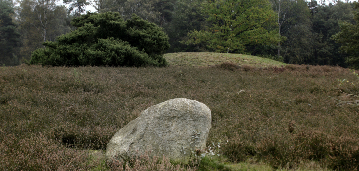 Vasserheide grafheuvel