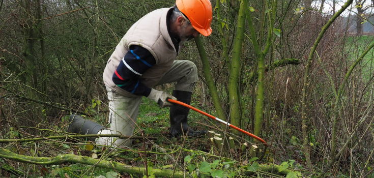 Veilig zagen, Nico Kloek