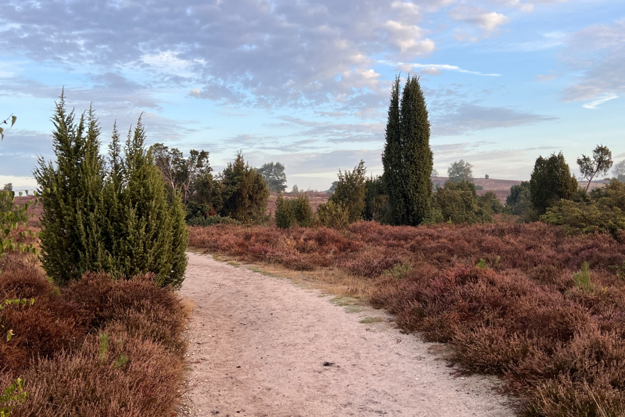 Wandelen op de Lemelerberg