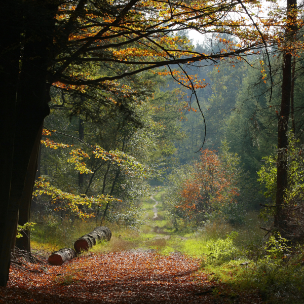 Landgoed Lonnekerberg